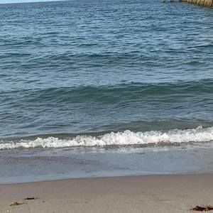 Meet your Posher, Teri-lynn russ